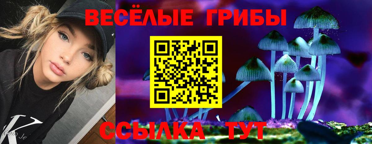 Псилоцибиновые грибы MAGIC MUSHROOMS Искитим